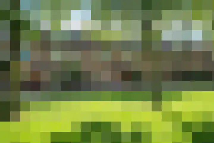 Maria Snelplantsoen 58 Amsterdam thumbnail 21