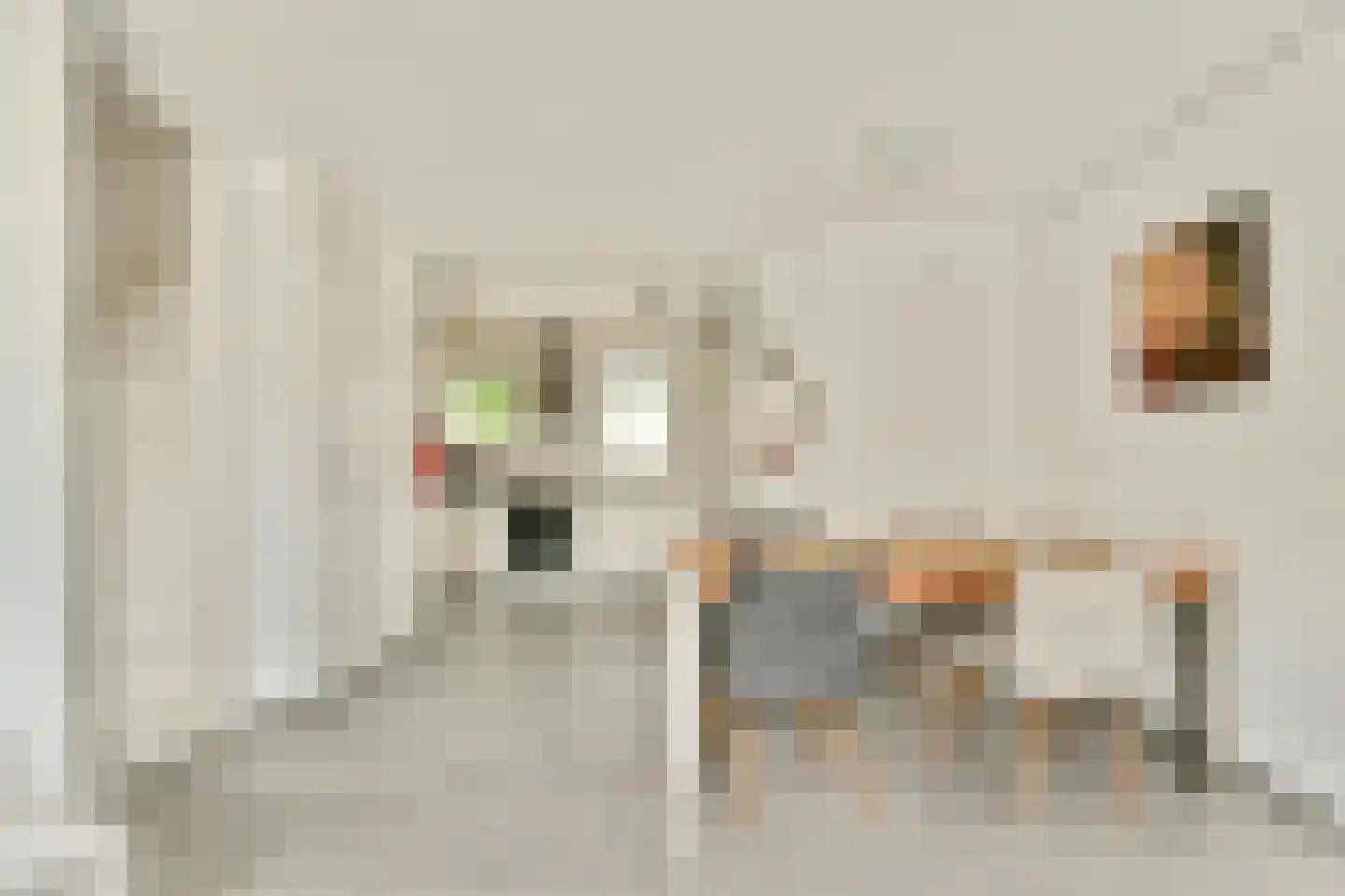 Maria Snelplantsoen 64 Amsterdam thumbnail 9