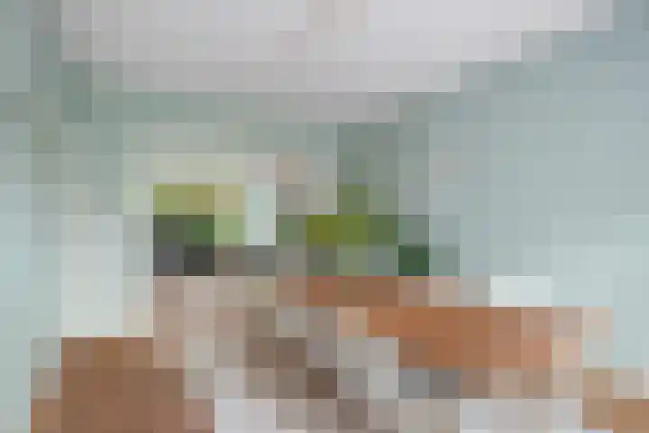Maria Stuartlaan 21 Rotterdam thumbnail 11