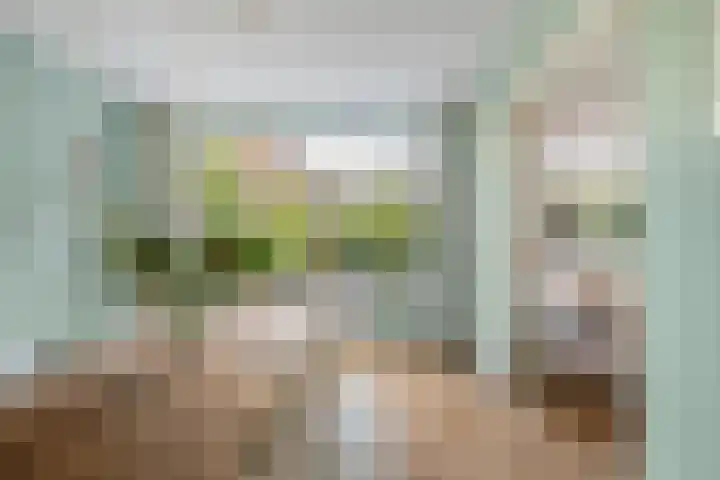 Maria Stuartlaan 21 Rotterdam thumbnail 12
