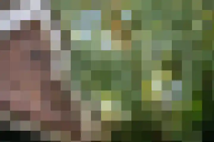Maria Stuartlaan 21 Rotterdam thumbnail 22