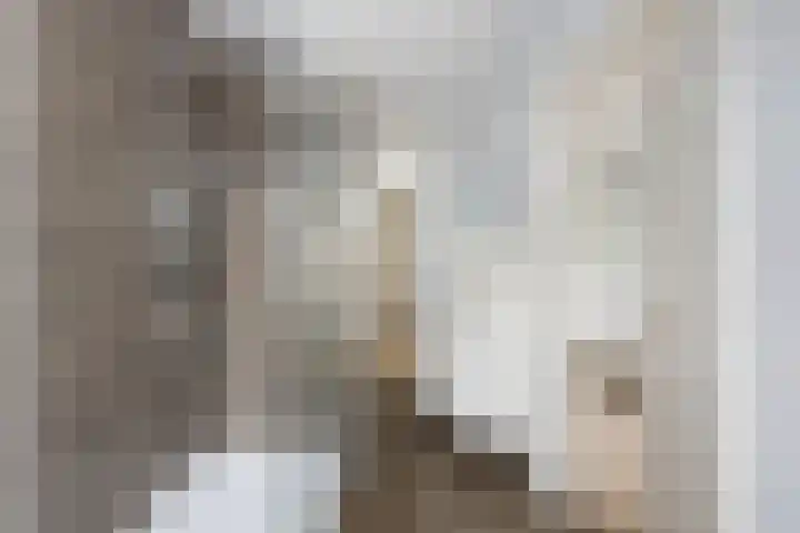 Maria Stuartlaan 21 Rotterdam thumbnail 25