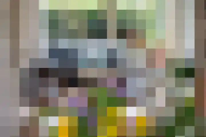 Maria Stuartlaan 21 Rotterdam thumbnail 9
