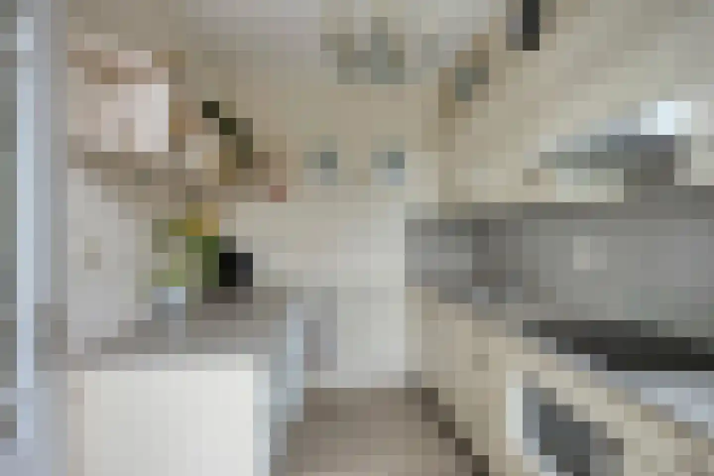 Maria Stuartlaan 70 Grave thumbnail 12