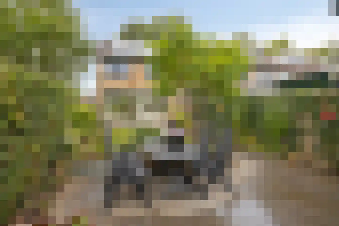 Maria Stuartlaan 70 Grave thumbnail 4