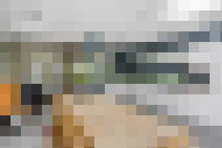 Maria Stuartstraat 25 Eindhoven thumbnail 15