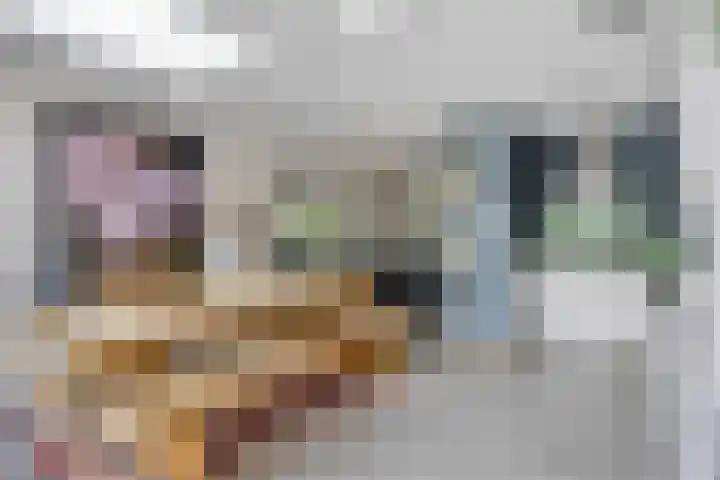 Maria Stuartstraat 25 Eindhoven thumbnail 17
