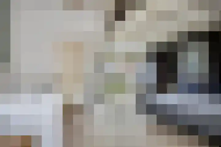 Maria Stuartstraat 25 Eindhoven thumbnail 24