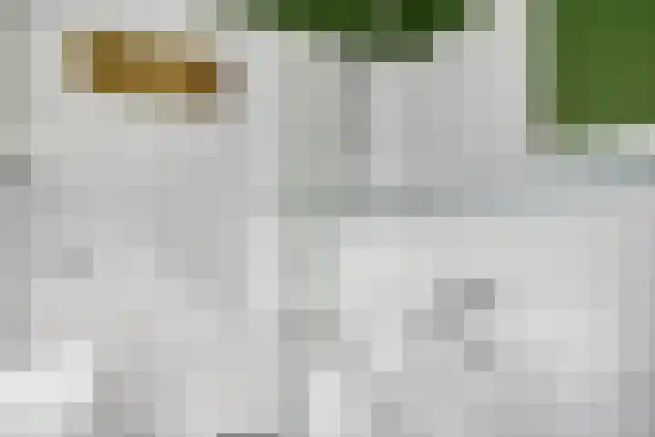 Maria Stuartstraat 25 Eindhoven thumbnail 26