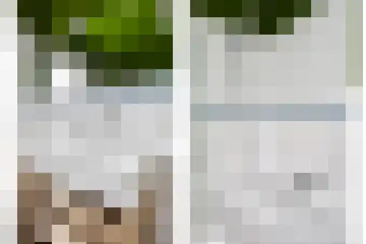 Maria Stuartstraat 25 Eindhoven thumbnail 28