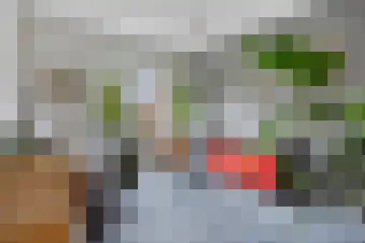 Maria Stuartstraat 25 Eindhoven thumbnail 29