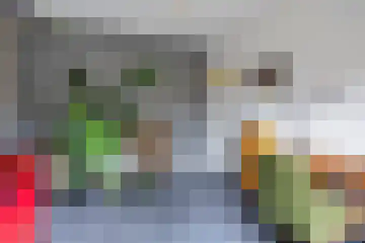 Maria Stuartstraat 25 Eindhoven thumbnail 30