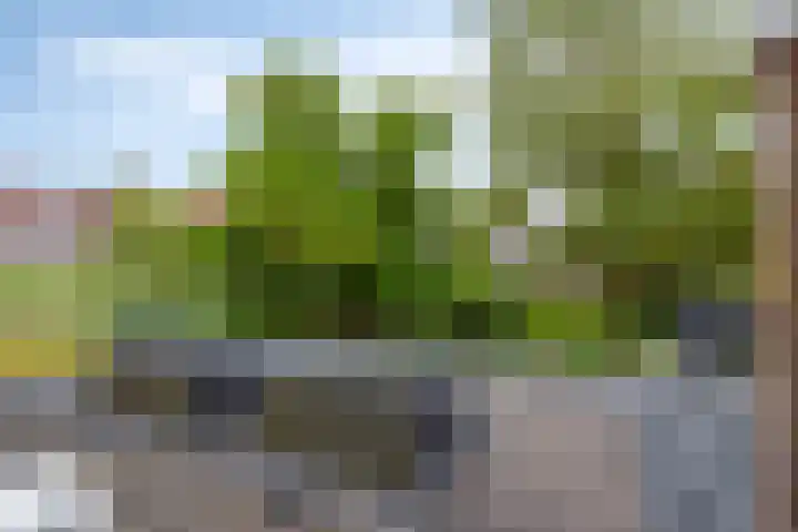 Maria Stuartstraat 25 Eindhoven thumbnail 32