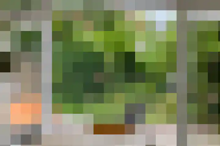 Maria Stuartstraat 25 Eindhoven thumbnail 33