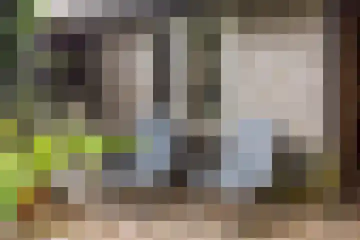 Maria Stuartstraat 25 Eindhoven thumbnail 37