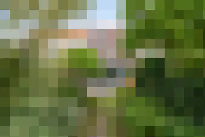 Maria Stuartstraat 25 Eindhoven thumbnail 38
