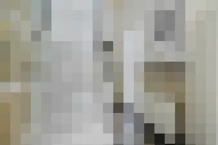 Maria Stuartstraat 25 Eindhoven thumbnail 4