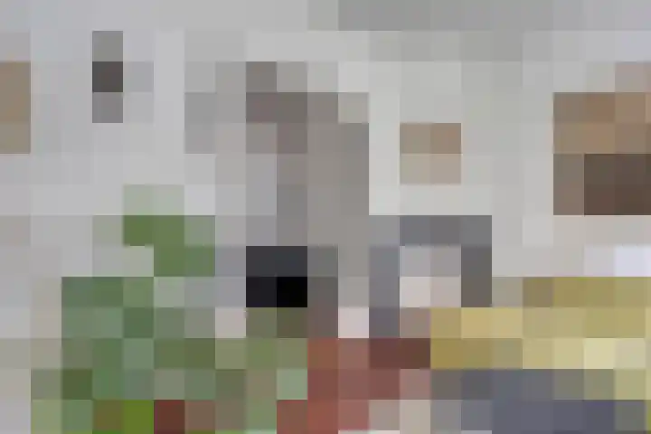 Maria Stuartstraat 25 Eindhoven thumbnail 9