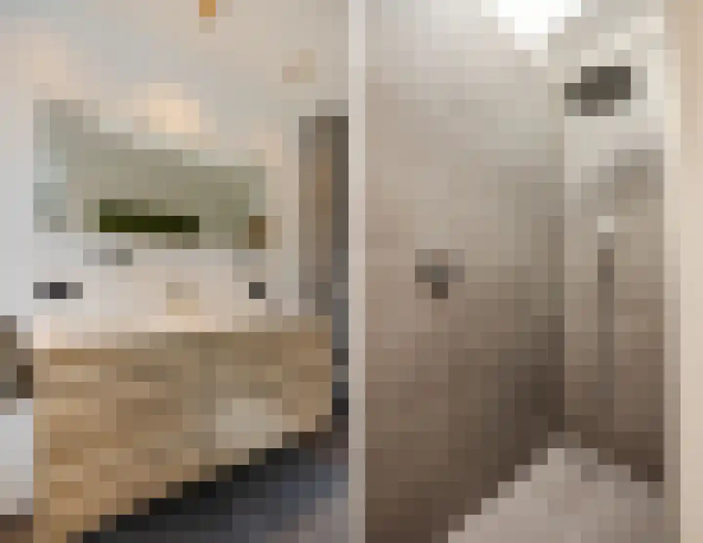 Maria Stuartstraat 27 Eindhoven thumbnail 24