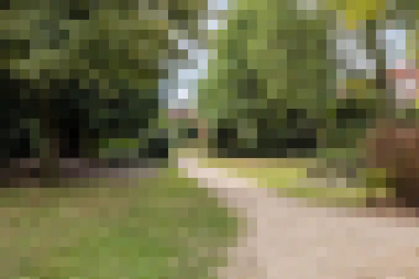 Maria Stuartstraat 27 Eindhoven thumbnail 43