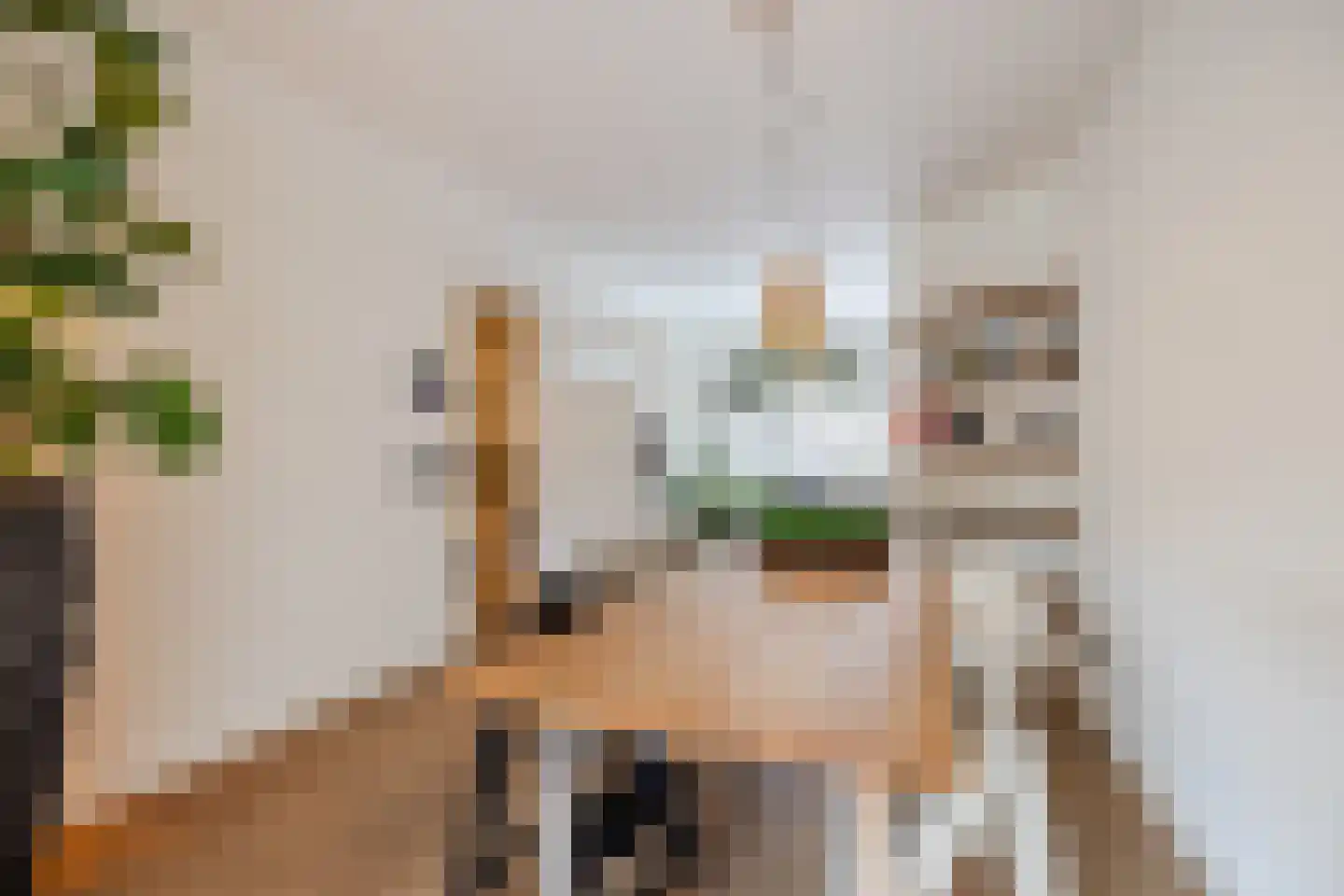 Maria Stuartstraat 27 Eindhoven thumbnail 8