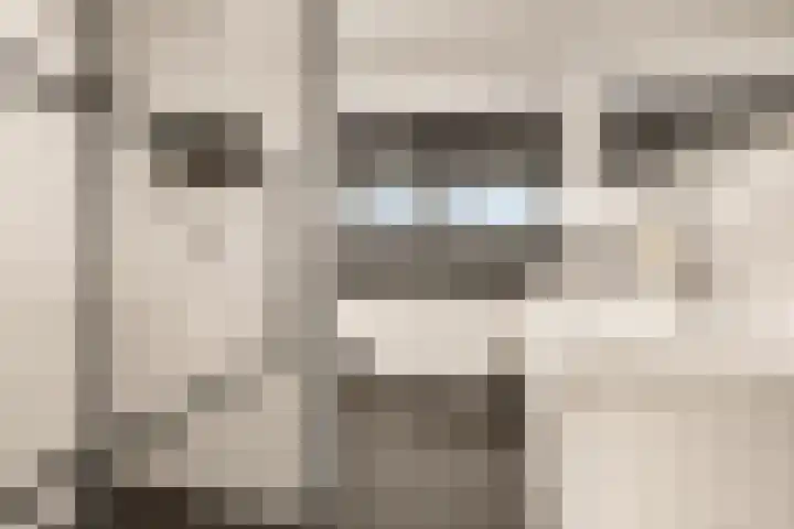 Mária Telkesstraat 45 Almere thumbnail 32