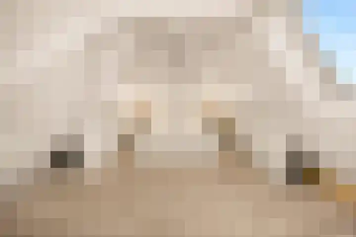 Mária Telkesstraat 45 Almere thumbnail 37