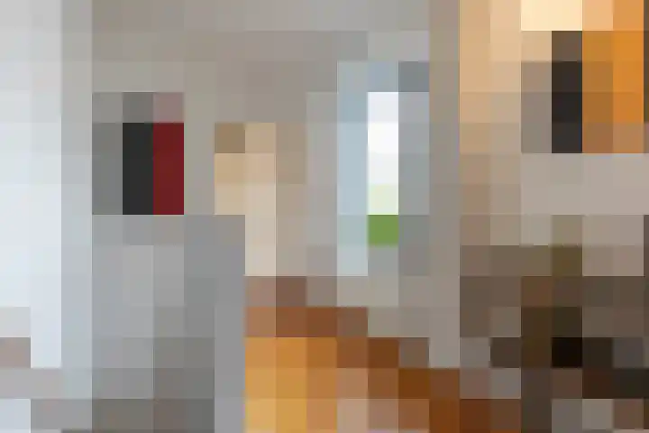 Maria Teresa Tauscherstraat 4 Sittard thumbnail 25