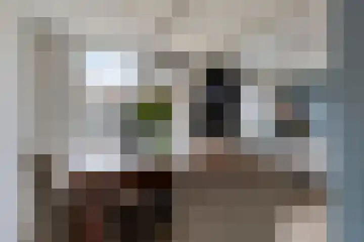 Maria Tesselschadelaan 103 Hoofddorp thumbnail 11