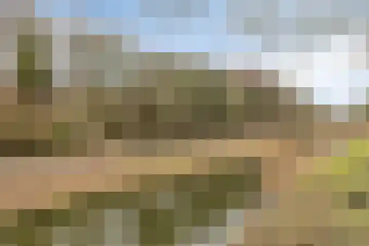 Maria Tesselschadelaan 103 Hoofddorp thumbnail 28