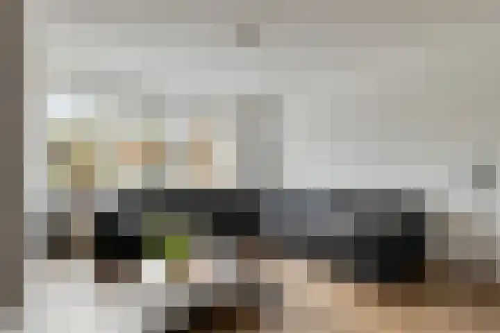 Maria Tesselschadelaan 103 Hoofddorp thumbnail 5