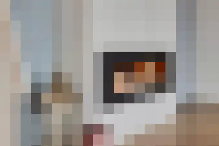 Maria Tesselschadelaan 103 Hoofddorp thumbnail 6