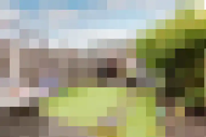 Maria Tesselschadelaan 123 Hoofddorp thumbnail 13