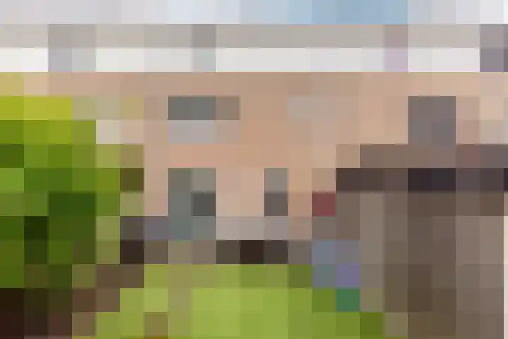 Maria Tesselschadelaan 123 Hoofddorp thumbnail 15