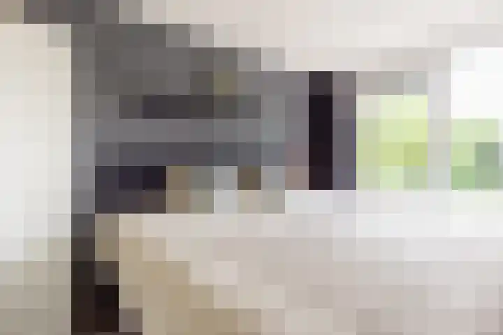 Maria Tesselschadelaan 123 Hoofddorp thumbnail 17