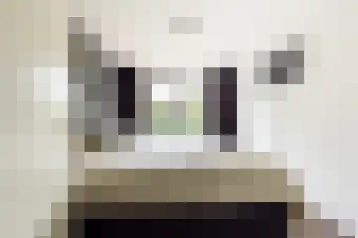 Maria Tesselschadelaan 123 Hoofddorp thumbnail 19