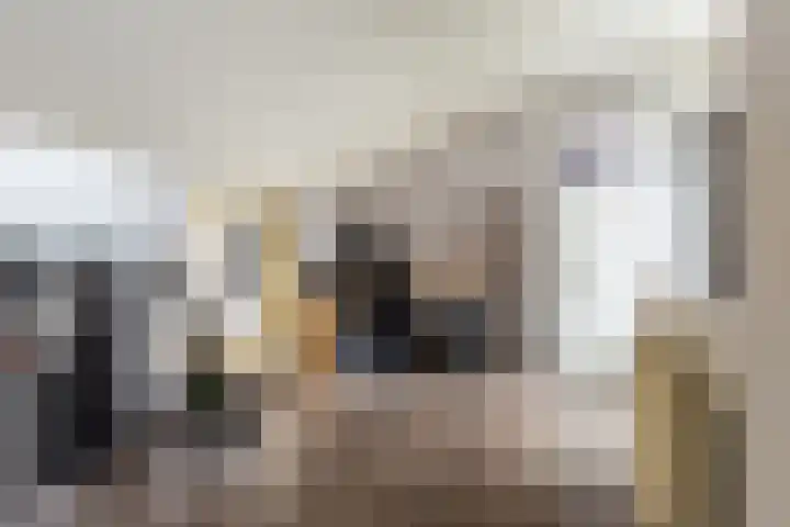 Maria Tesselschadelaan 123 Hoofddorp thumbnail 28