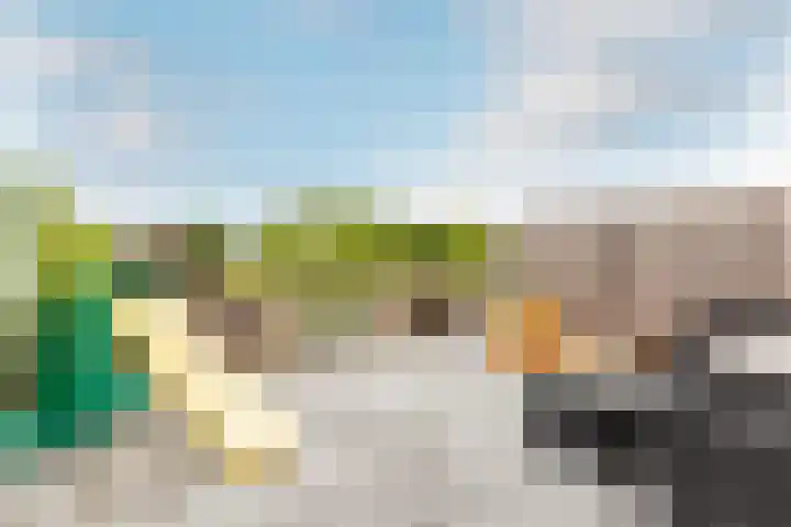 Maria Tesselschadelaan 123 Hoofddorp thumbnail 29