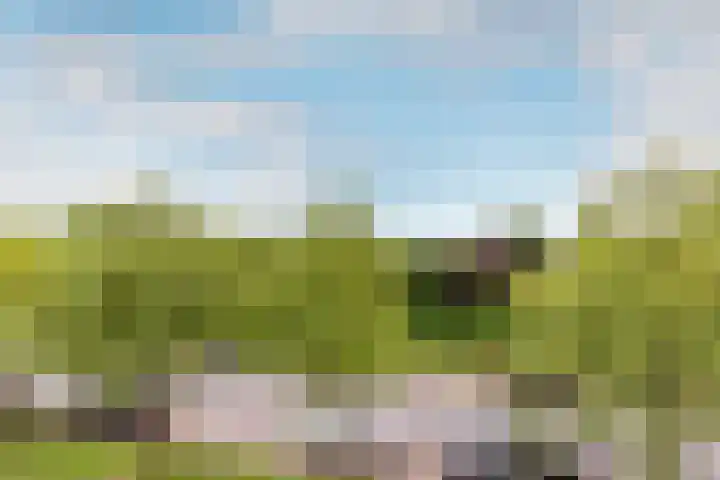 Maria Tesselschadelaan 123 Hoofddorp thumbnail 32