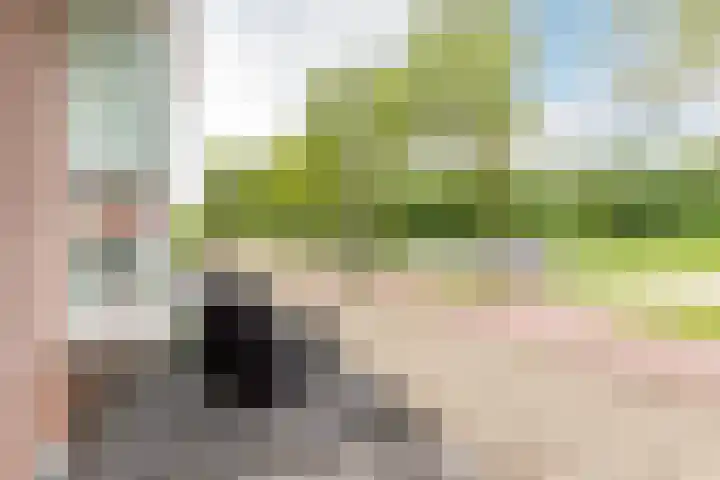 Maria Tesselschadelaan 123 Hoofddorp thumbnail 33