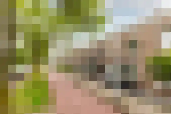 Maria Tesselschadelaan 123 Hoofddorp thumbnail 34