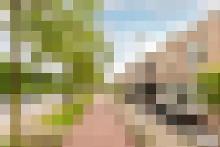 Maria Tesselschadelaan 123 Hoofddorp thumbnail 36