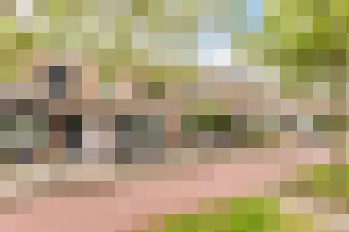 Maria Tesselschadelaan 123 Hoofddorp thumbnail 40