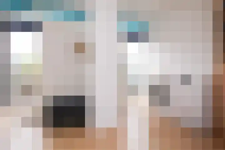 Maria Tesselschadelaan 141 Hoofddorp thumbnail 33