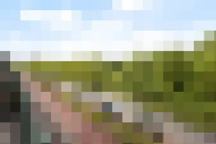 Maria Tesselschadelaan 141 Hoofddorp thumbnail 36
