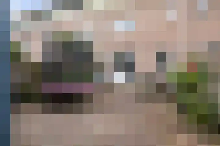 Maria Tesselschadelaan 141 Hoofddorp thumbnail 40