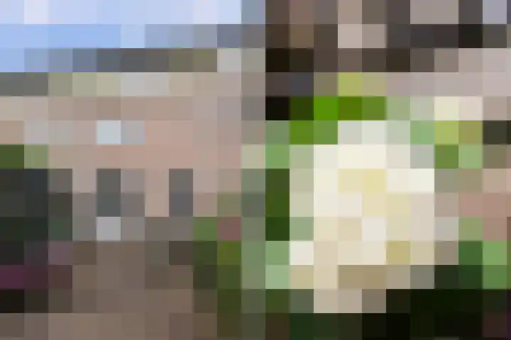 Maria Tesselschadelaan 141 Hoofddorp thumbnail 5