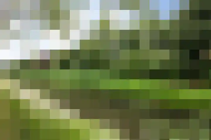 Maria Tesselschadelaan 141 Hoofddorp thumbnail 6