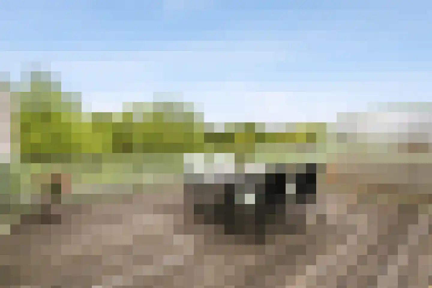 Maria Tesselschadelaan 81 Hoofddorp thumbnail 29