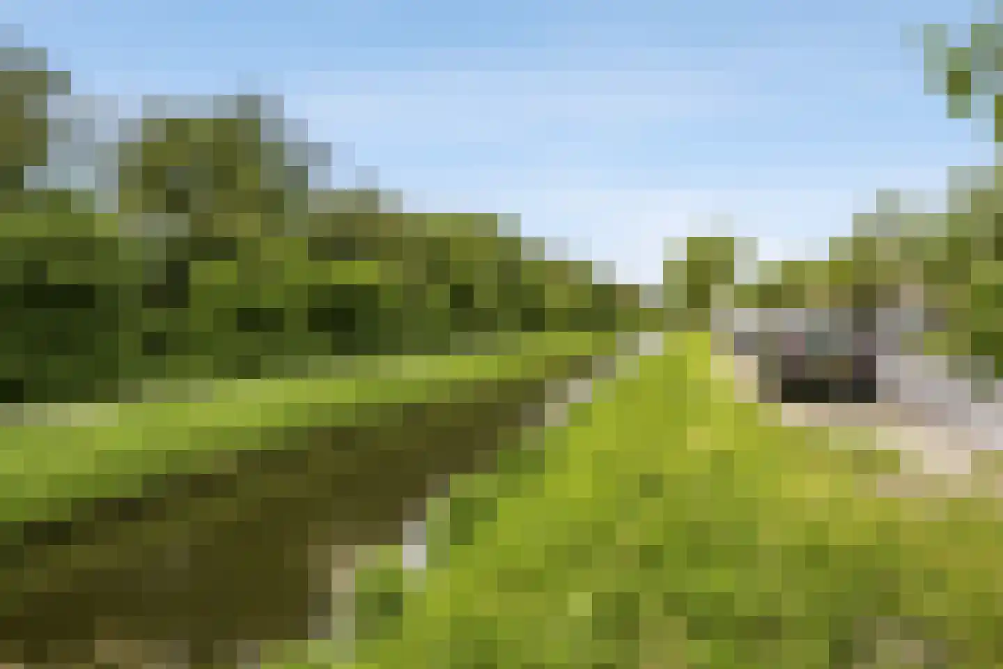 Maria Tesselschadelaan 81 Hoofddorp thumbnail 44